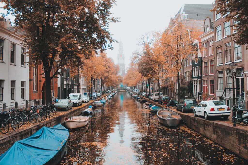 Easiest Languages to Learn - Dutch