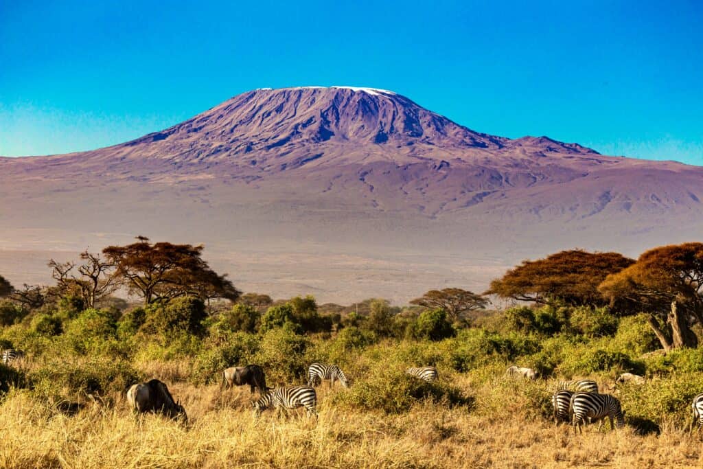 Easiest Languages to Learn - Swahili