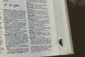 What is Translation?